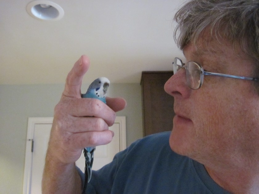 Last picture of Petey