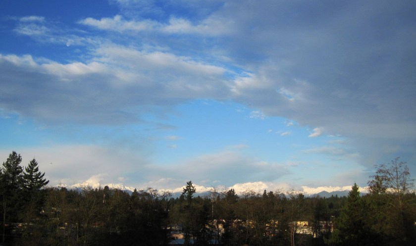 The always stunning Olympic Mountains.