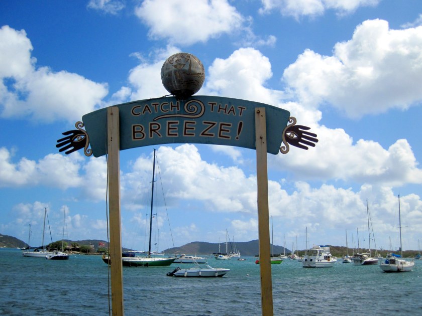 Welcome to Trellis Bay.