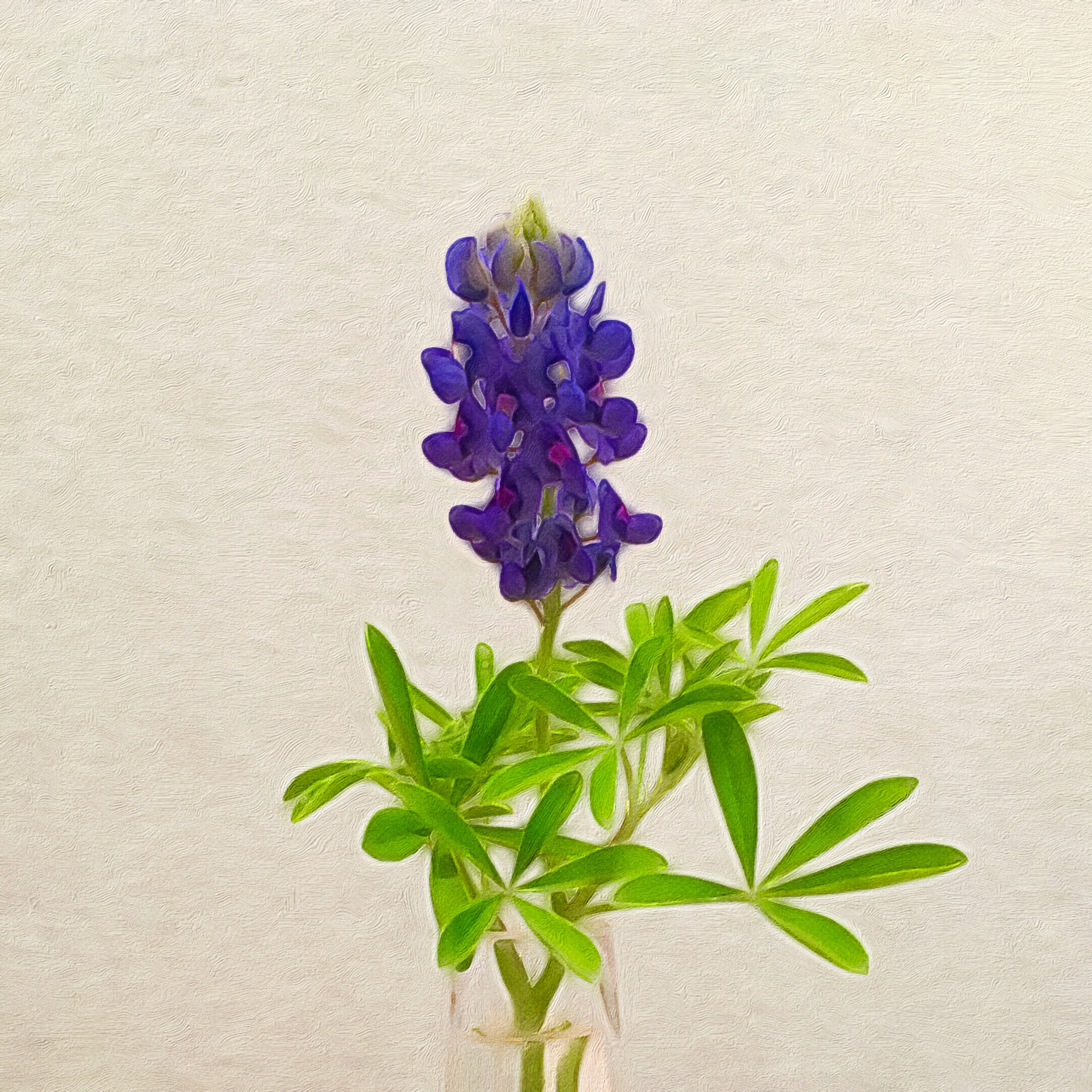 853df415-8cec-46a2-bdcf-96a24fe47be8-3863-000003e36b8691ec