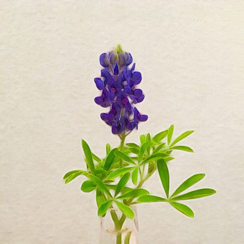 853df415-8cec-46a2-bdcf-96a24fe47be8-3863-000003e36b8691ec